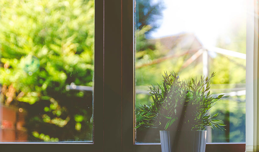 Austin Garden Windows