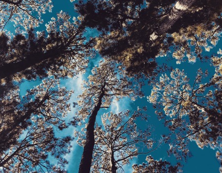 Metal Roofers Garfield